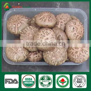 Shiitake Farm,Shiitake Mushroom Kit,Black Mushrooms thumbnail-5