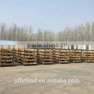 Low Price Fresh Ginger From China thumbnail-1
