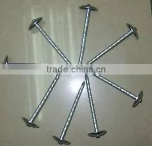Roofing Coil Nails 3.05*25 Shank Smooth thumbnail-6