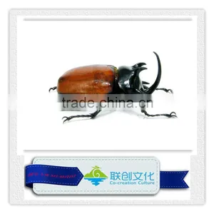 Life Size Simulation Mantis and Other Insects thumbnail-6