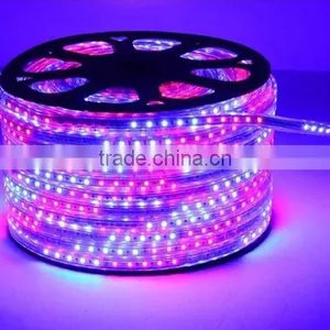 5050 SMD 220V 110V Flexible Led Light Strip,high Voltageled Strip Light thumbnail-2