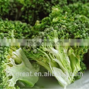 Chinese Healthy Snack Frozen Dried FD Dried Vegetables-FD Carrot Cube thumbnail-4