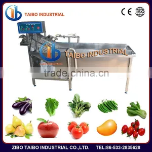 Fruit Processing Machinery Washer Type Apple Washing Machine thumbnail-1