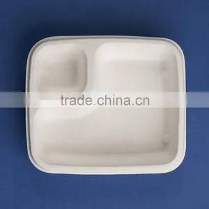 Sugercane 7x6 Inch 2 Compartment Tray thumbnail-3
