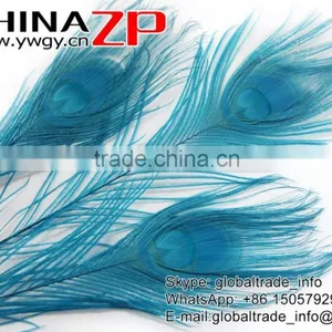 CHINAZP Leading Supplier Wholesale Cheap Full Eye Dyed Turquoise Blue Peacock Tail Feathers for Sale thumbnail-5