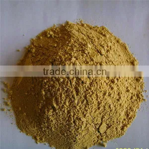 Chinese Herb Yellow Ginger Powder Ginger Extract Powder thumbnail-1