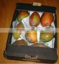MANGOS FRUIT thumbnail-2