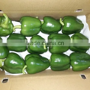 FRESH SWEET BELL PEPPER thumbnail-3