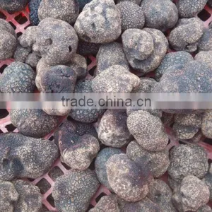 Grade A Frozen Summer Truffle 2015 thumbnail-1