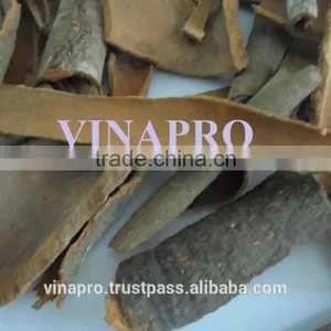 VIETNAM BROKEN CASSIA FOR INDIA MARKET NEW CROP thumbnail-2