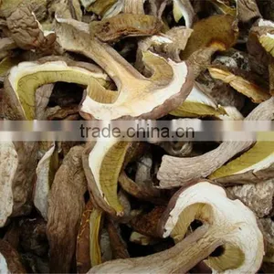 Delicious Dried Yellow Boletus Price thumbnail-6