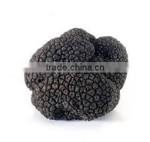 Deep Frozen Black Truffle thumbnail-1