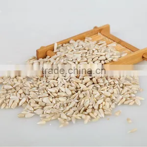 New Crop Confectionary Sunflower Seed Kernels thumbnail-1