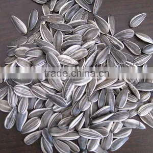 Chinese Sunflower Seeds 658 thumbnail-1