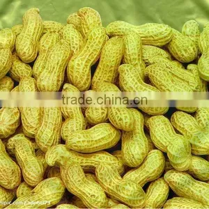 High Quality Peanut Sheller Almond Sheller With Separator thumbnail-5