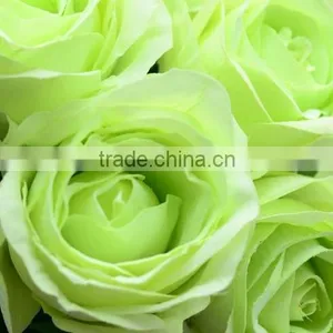 Green Roses Fresh Cut Roses and Fresh Roses for Sale thumbnail-5