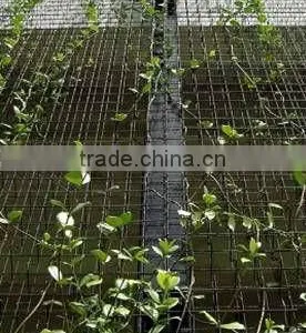 Trellis Mesh thumbnail-1