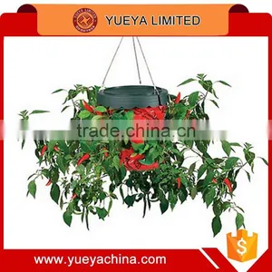 Tv Hot Sale Household Topsy-Turvy Plants Bonsai thumbnail-1