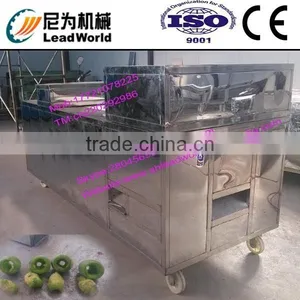 Hot Sale and High Efficiency Fruit Seeds Removing Machine thumbnail-1