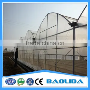 BLD Large Multi-span Plastic Film Greenhouse Commercial Use thumbnail-1