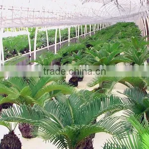 Flower Planting Hydroponic System/Hydroponic Garden thumbnail-2