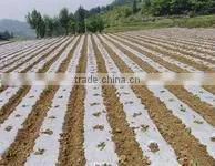 Soft Agricultural Film/agricultural Mulch Film /greenhouse Film thumbnail-3