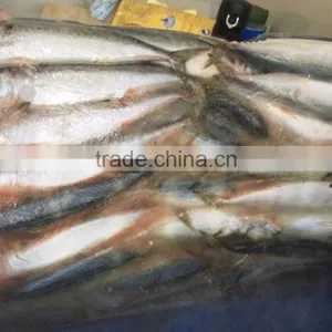 Landfrozen Mackerel 200-300g thumbnail-2