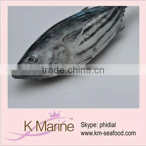 Sell Live Seafood Frozen Tuna Fish thumbnail-1