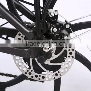 CE 36V 250W Foldable Electric Bicycle 20inch Folding Electric Bike With One-piece Aluminum Alloy Wheel thumbnail-6