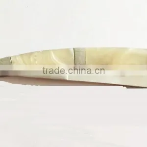 SHELL HANDLE SHAVING RAZOR thumbnail-1