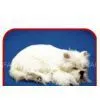 Handmade Synthetic Furry Animals, Christmas Crafts, Holiday Gift Decoration Craft, Fur Toy Pets thumbnail-1