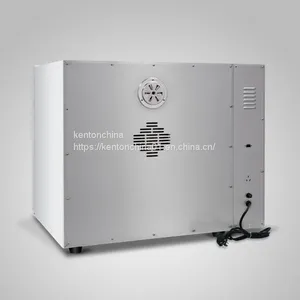 Hot Air Oven DHG Drying Oven,laboratory and Industrial Specialty Oven Equipment thumbnail-4