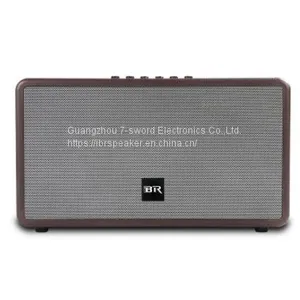 Bluetooth Live Speaker Dual Portable Speaker for Indoor Party thumbnail-1