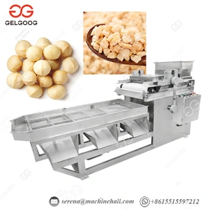 Chestnut Chopping Machine Nut Crusher Machine Gg-sz15 thumbnail-3