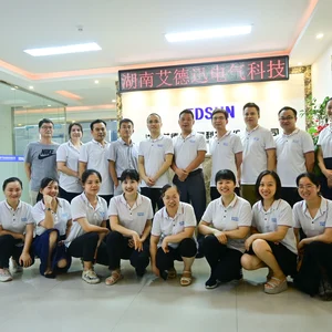 Hunan Edsun Electrical Science And Technology Co., Ltd. company overview - view 1 thumbnail
