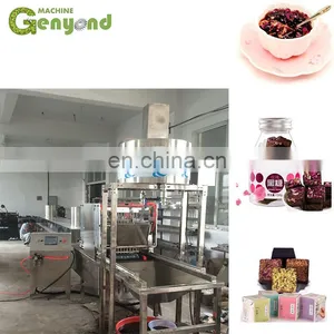 Jaggery Making Plant With Rose and Ginger thumbnail-4