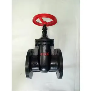 Factory Supply BS Z45T Flange Hard Seal Soft Seal Gate Valve for Water Gray/Cast/Ductile Iron Bronze/Stainless Steel Disc thumbnail-6