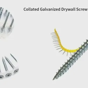 China Manufacturer Collated Screws With Plastic Strip, Coarse Thread White Zinc, 25/35/40mm, 1 Year Warranty, No Jamming Guaranteed thumbnail-1