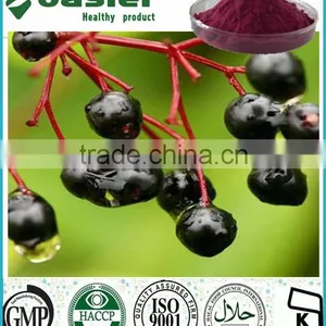 100% Natural Elderberry Powder,25% Anthocyanidin thumbnail-1