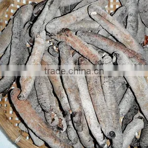 Dry Sea Cucumber Vietnam, Lolly Fish, Holothuria Atra thumbnail-6