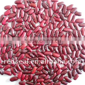 2011 New Dark Red Kidney Beans thumbnail-1