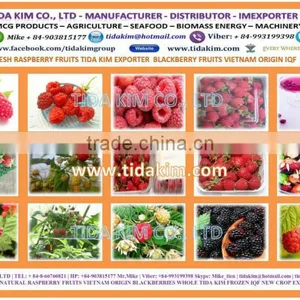 100% ITOYORI SURIMI- SHRIMP - PANGASIUS Mix KA300 AA 400 GS 600 700 TIDA KIM VIETNAM EXPORTER thumbnail-5