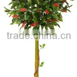 Artificial Ficus Tree With Real Trunk thumbnail-1