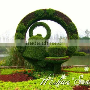 2016 New Designed Selling Decorative Topiary Plants for Garden Ornament Incompetitive Price thumbnail-2