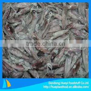 Fresh Frozen Argentine Lllex Squid thumbnail-1