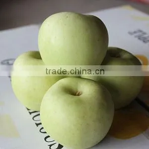 Fresh Golden Delicious Apple Fruit thumbnail-1