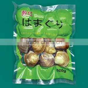 Snack Food Vacuum Plastic Packaging Bag thumbnail-1