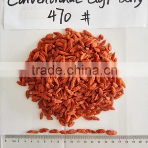 Dried Goji Berry 470grains/50g thumbnail-1
