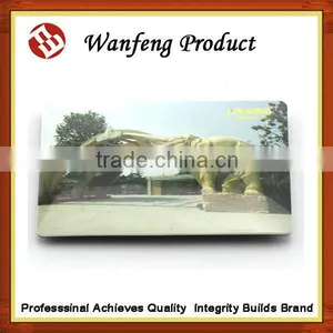 Travel Souvenir Magnets/animals Fridge Magnet thumbnail-1