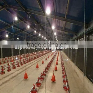 Poultry Farming Equipment for Broiler Chicken House thumbnail-1